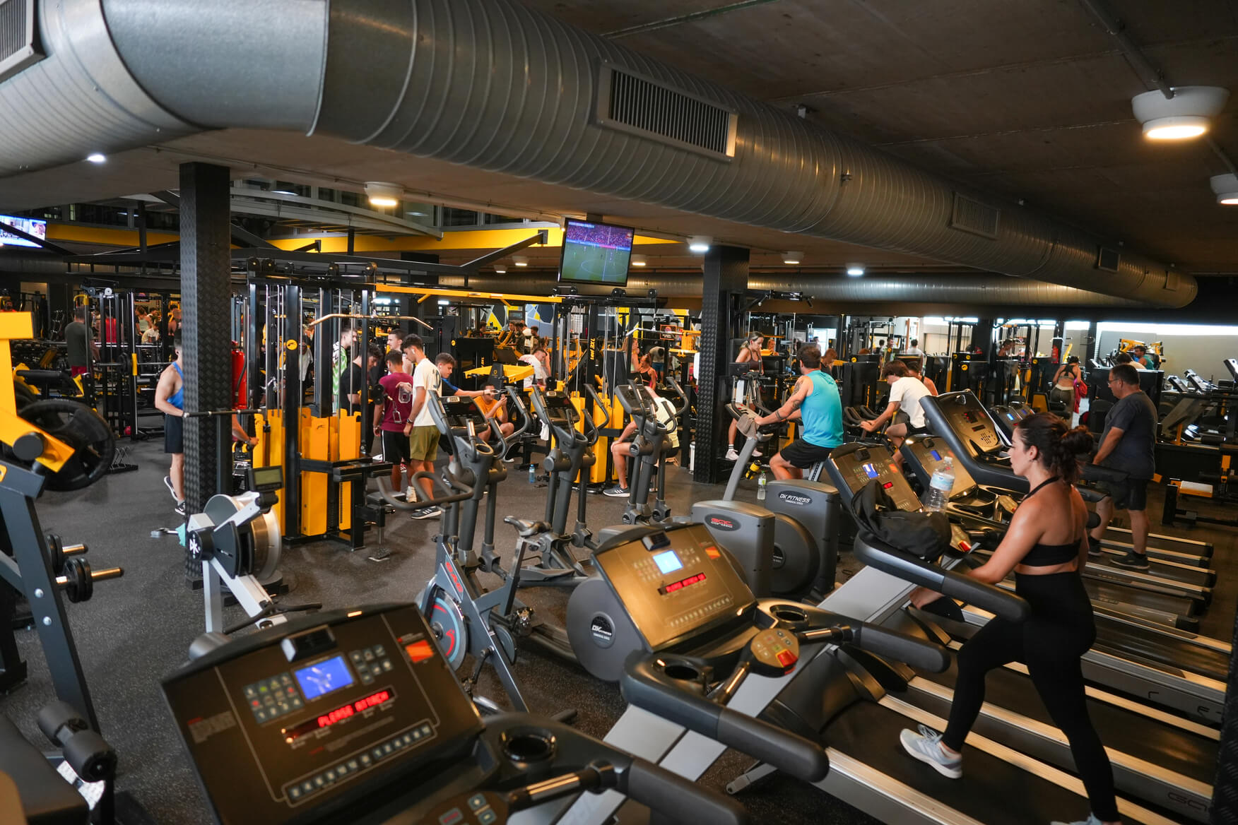 CARDIO