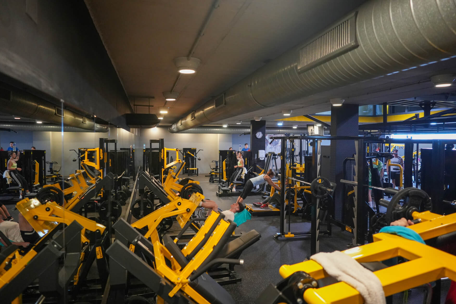 MUSCULACION DOS