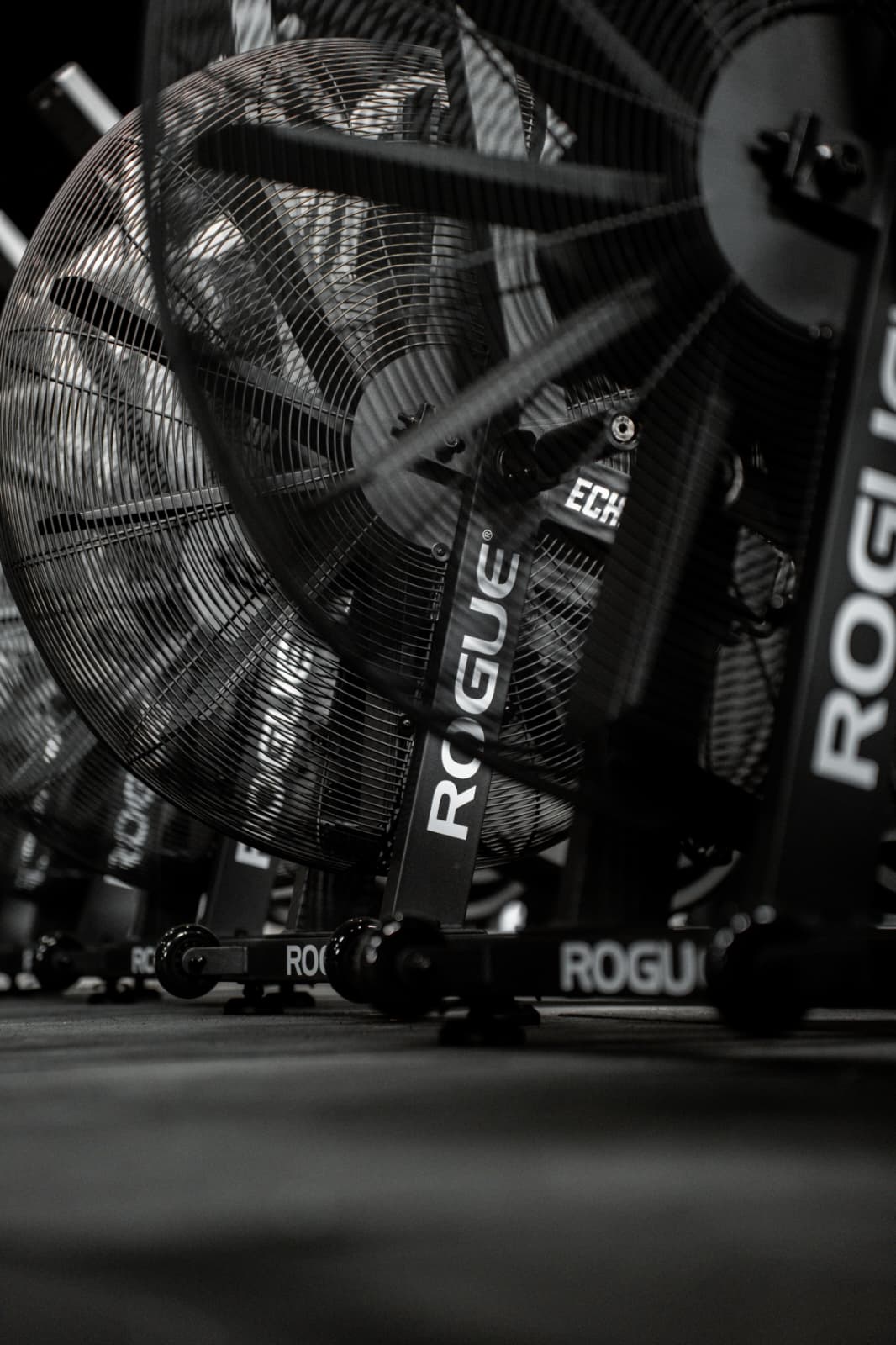 rogue